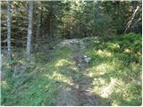 Mountain hut on farm Kumer - Govca (Olševa)